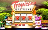 Sizable Win Slot Machine