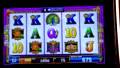 Bally - Tiger Treasures Slot Bonus